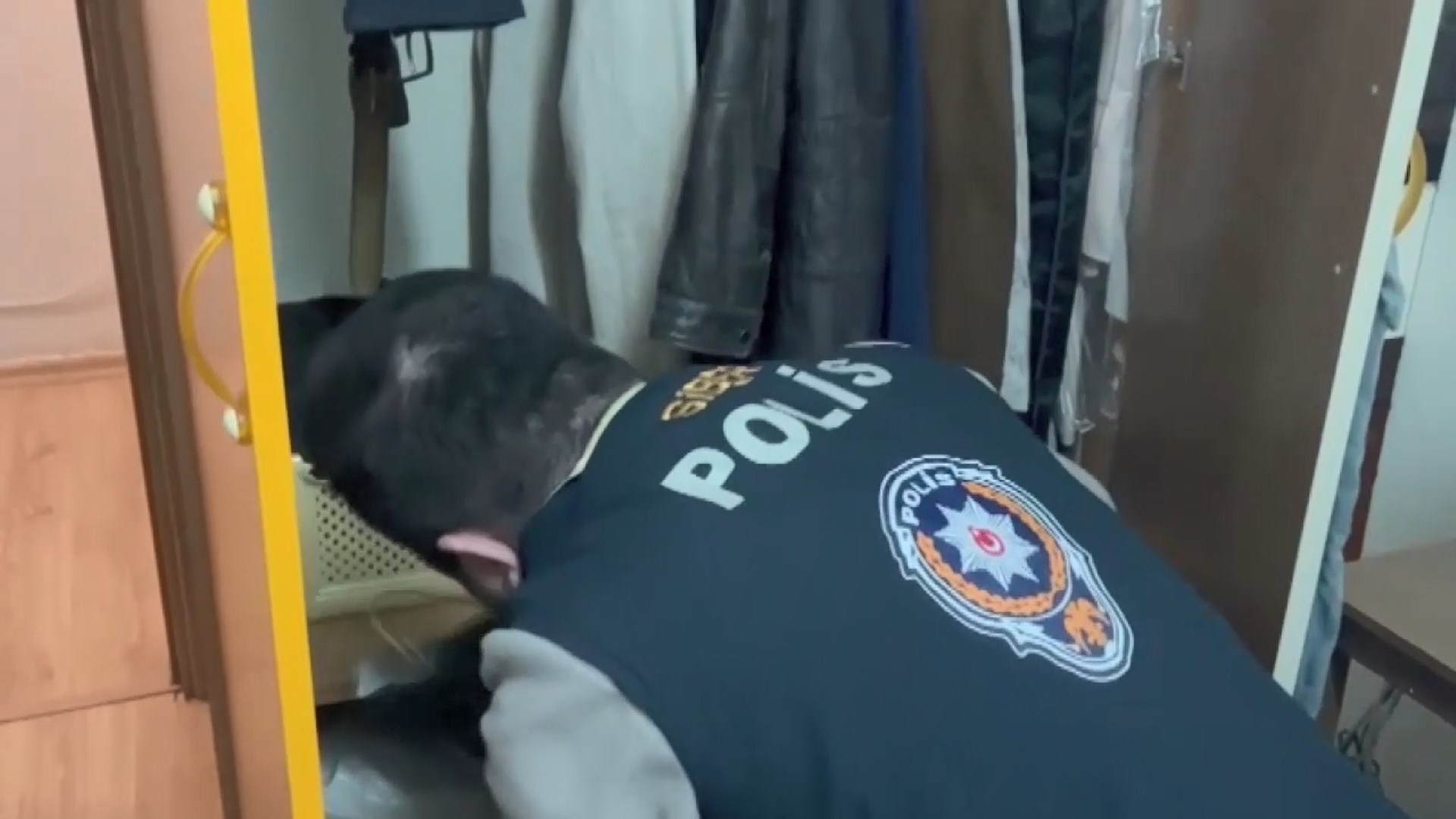 kimliklerimizi calanlara turkiye capinda buyuk darbe cetenin 35 elemani cocuk cikti 0 NLFfCs1P