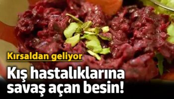kis hastaliklarina savas acan besin kirsaldan geliyor cjfA4fbO
