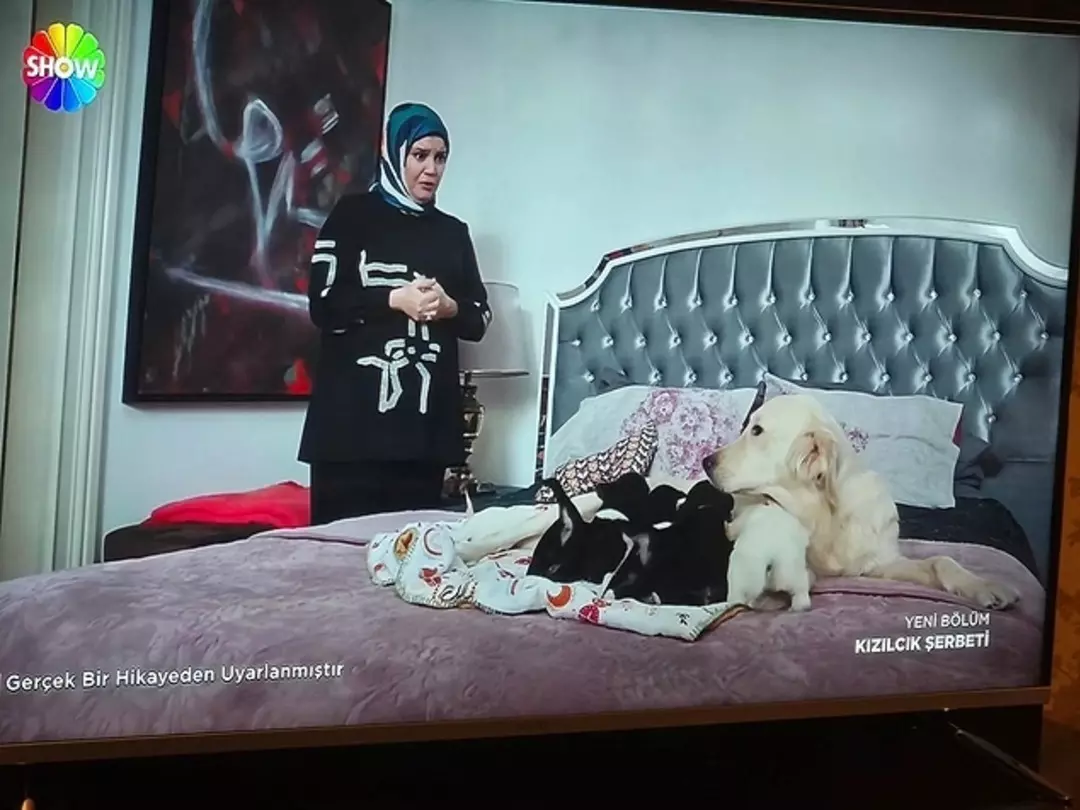 kizilcik serbetine jet hizinda uyari saglik bakanliginin radarina takildi 1 TywPBQ54