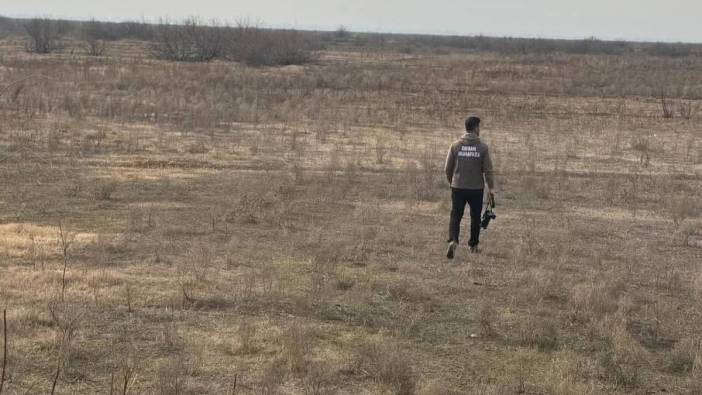 koruma altindaki bu hayvani avlayan yandi 661 bin 883 bin tl cezasi var 0