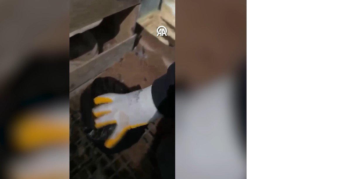 kumesten cikanlar pes dedirtti 1 rNeFnXZ8