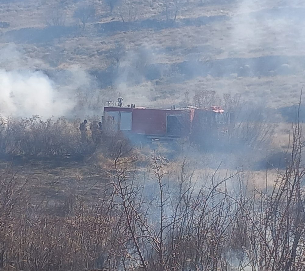 mardinde korkutan ortu yangini cok sayida agac zarar gordu 2 hIIQlOMO