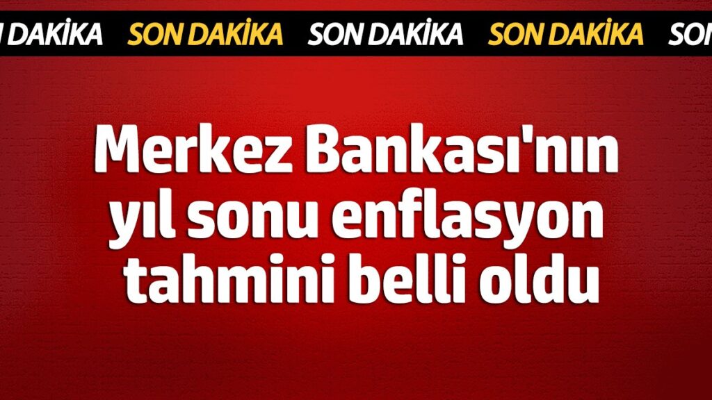 merkez bankasinin yil sonu enflasyon tahmini belli oldu kwLDiucx
