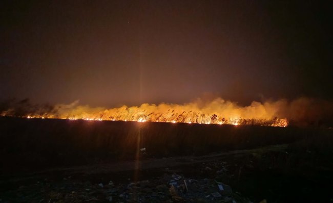 mersinde cikan yangin korku dolu anlar yasatti 1 IdvkpaNB
