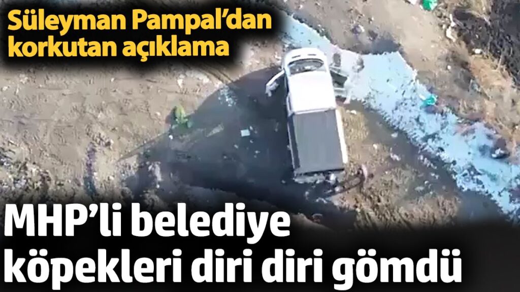 mhpli belediye kopekleri diri diri gomdu mustafa sarigulden aciklama 1pg4iBRr