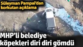 mhpli belediye kopekleri diri diri gomdu mustafa sarigulden aciklama 1pg4iBRr