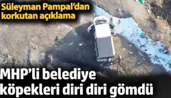 mhpli belediye kopekleri diri diri gomdu mustafa sarigulden aciklama 1pg4iBRr