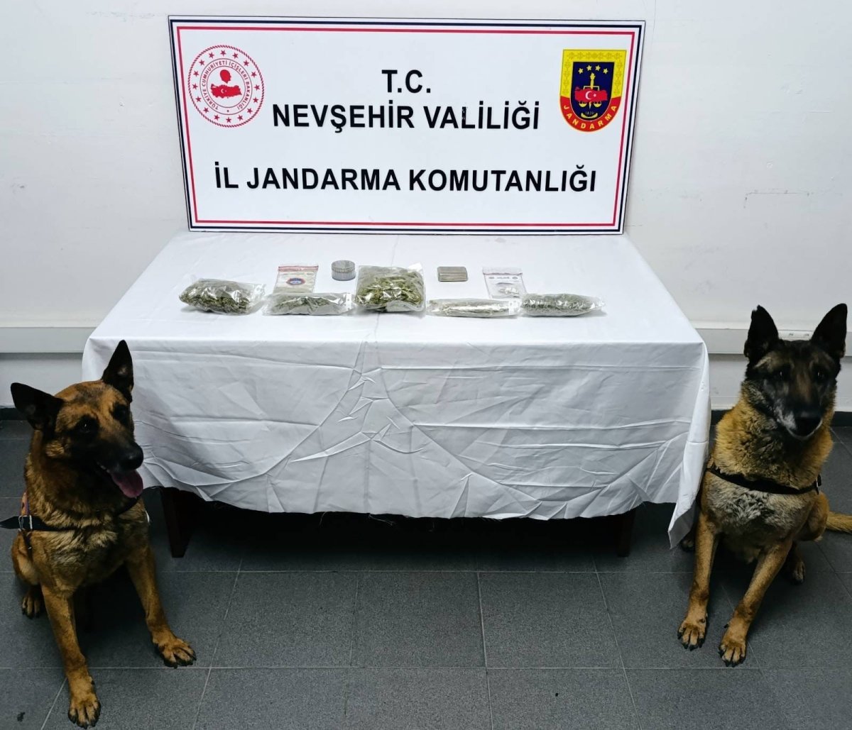 narkotik kopegi is basinda 0 FP9HV6XC