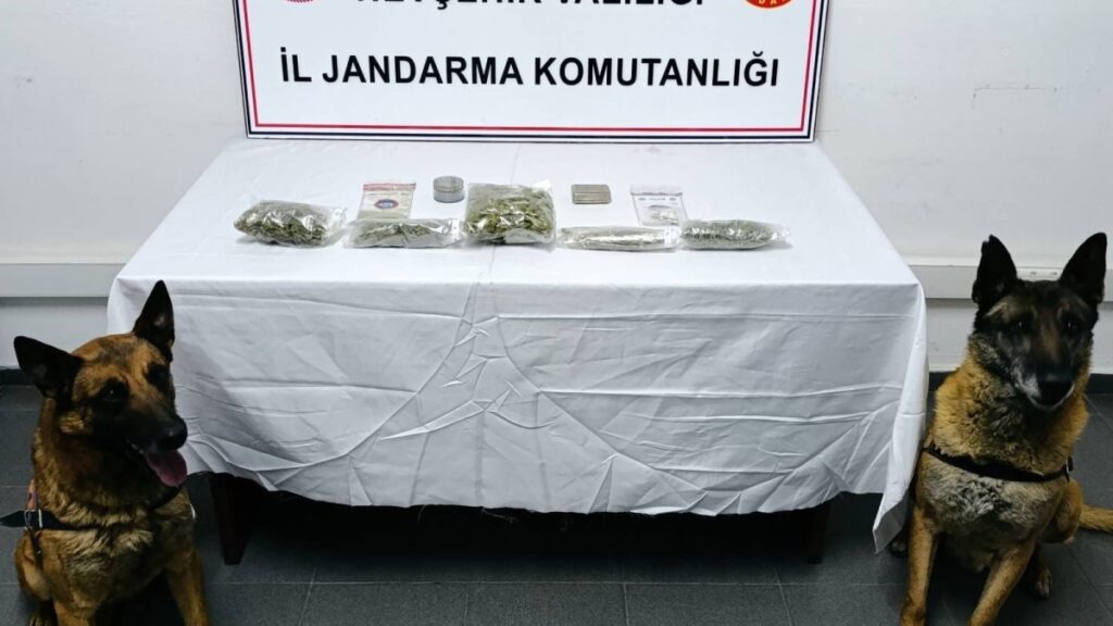 narkotik kopegi is basinda hOTsrm93
