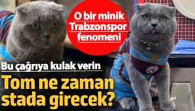 o bir minik trabzonspor fenomeni bu cagriya kulak verin tom ne zaman stada girecek FgUaHrJz
