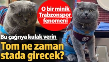 o bir minik trabzonspor fenomeni bu cagriya kulak verin tom ne zaman stada girecek FgUaHrJz