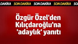 ozgur ozelden tegmenler aciklamasi YH62BpsU