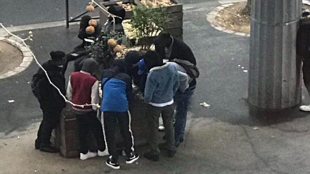 pariste kacak tutun isyani tekel bayileri greve gidiyor xOQh4lIk