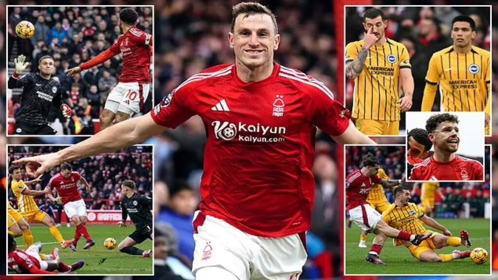 premier ligde tarihi skor brighton agir hezimete ugradi uy5jONJV