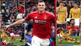 premier ligde tarihi skor brighton agir hezimete ugradi uy5jONJV