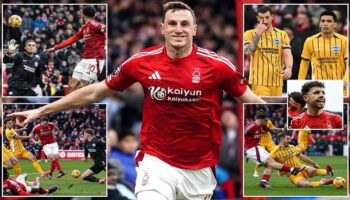 premier ligde tarihi skor brighton agir hezimete ugradi uy5jONJV