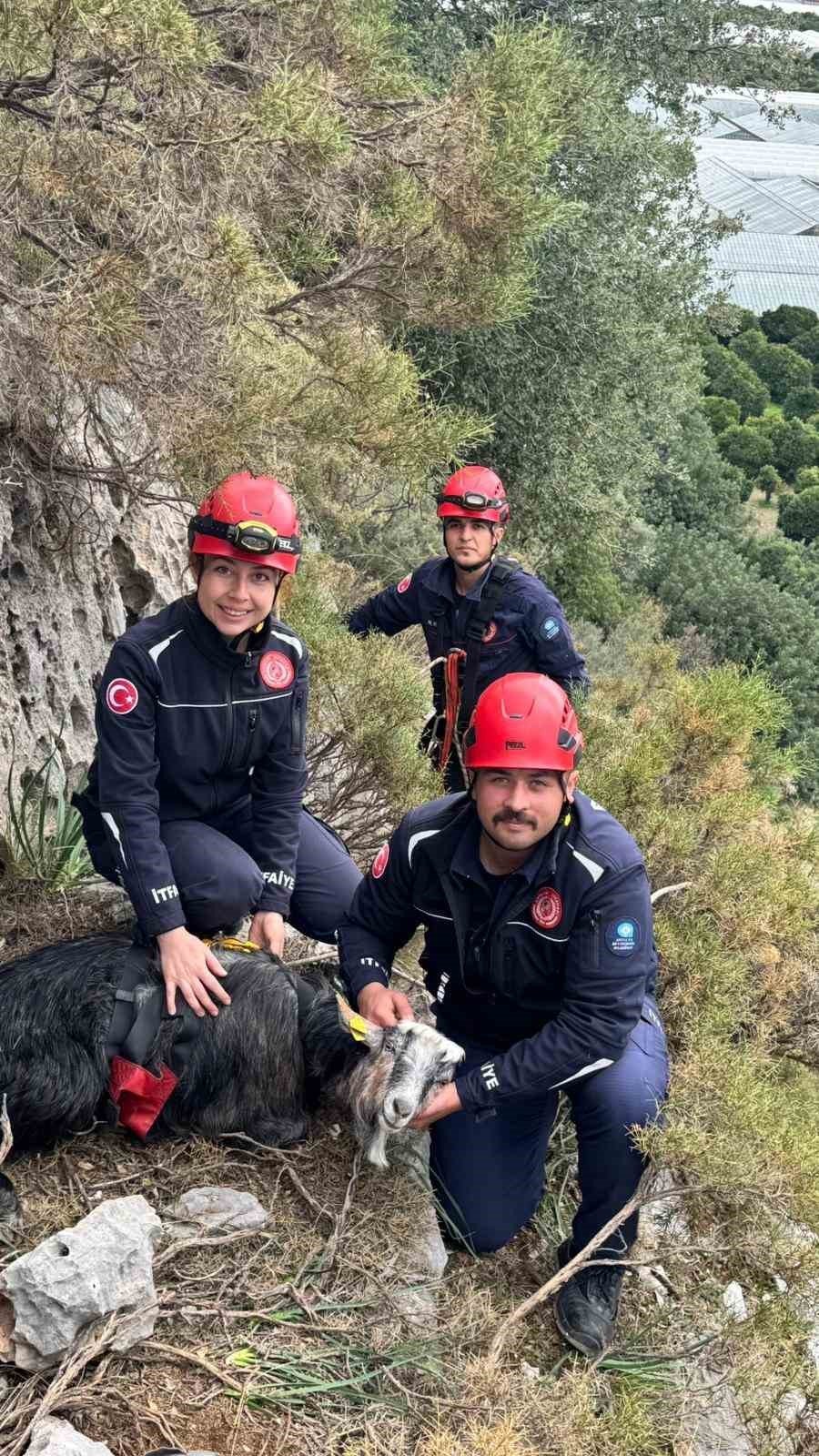sarp kayaliklarda 3 gundur mahsur kaldi ekipler kurtarmak icin seferber oldu 2 XjGNPnnv