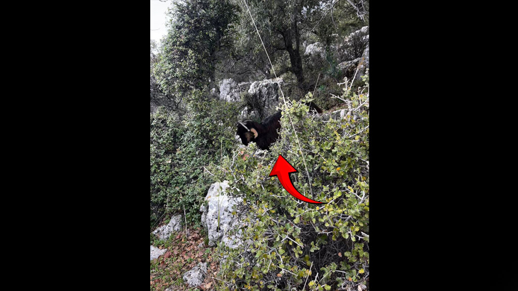 sarp kayaliklarda 3 gundur mahsur kaldi ekipler kurtarmak icin seferber oldu vSpRuQD1