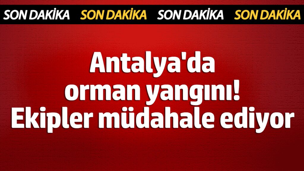 sondakika antalyada orman yangini rjYpHEhV
