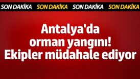 sondakika antalyada orman yangini rjYpHEhV