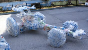 surdurulebilir sanat sanatcilar cevreye duyarli eserlerle gelecege ilham veriyor 65IkXdzf