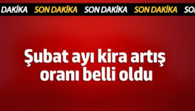 tuik aciklamasi sonrasi oranlar netlesti subat ayinda kira tavan zam orani ne kadar oldu COSNynOb