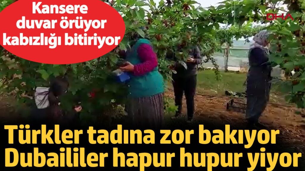turkler tadina zor bakiyor dubaililer hapur hupur yiyor kansere duvar oruyor kabizligi bitiriyor NzUXSOe7