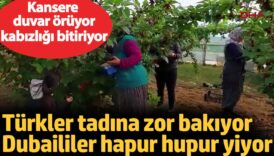 turkler tadina zor bakiyor dubaililer hapur hupur yiyor kansere duvar oruyor kabizligi bitiriyor NzUXSOe7