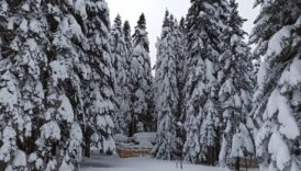 uludagda kar kalinligi 1 metreye yaklasti av4Im3l6