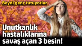 unutkanlik hastaliklarina savas acan 3 besin beyni genc tutuyorlar h9npTQq5