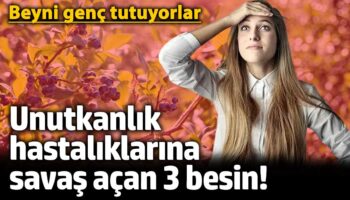 unutkanlik hastaliklarina savas acan 3 besin beyni genc tutuyorlar h9npTQq5