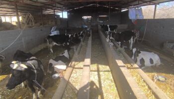 ureticiler sutun kilosunun 9 liradan alinmasina tepkili JAGgDiVC