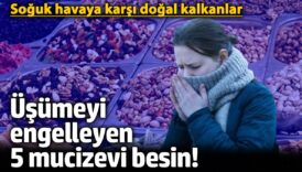 usumeyi engelleyen 5 mucizevi besin soguk havaya karsi dogal kalkanlar n4Tnp8K4