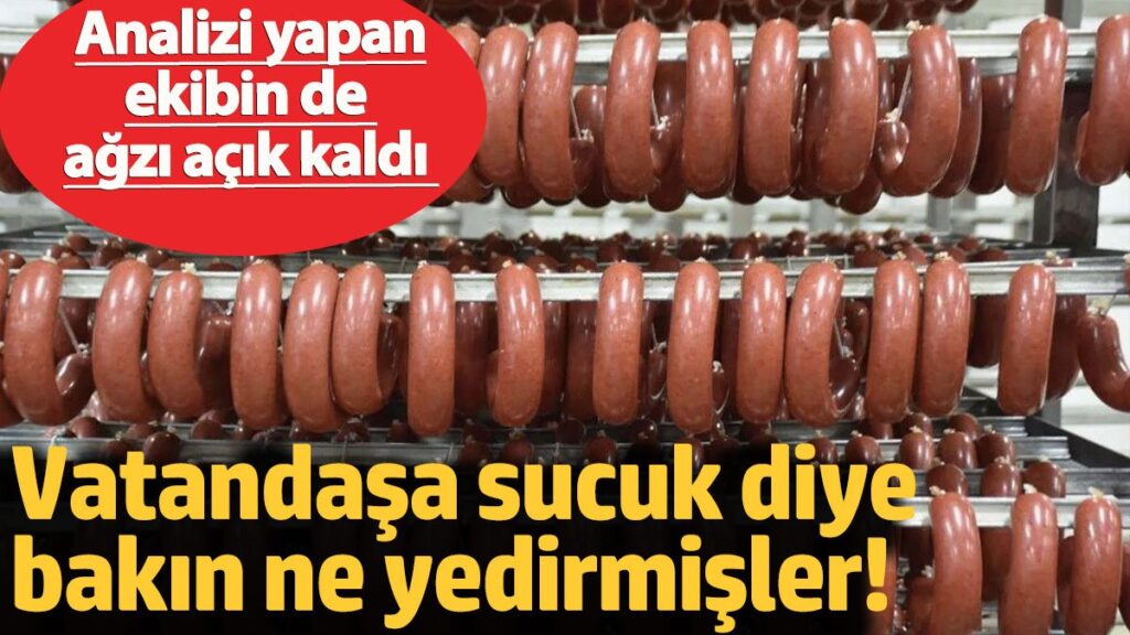 vatandasa sucuk diye bakin ne yedirmisler analizi yapan ekibin de agzi acik kaldi wFNNdSBQ