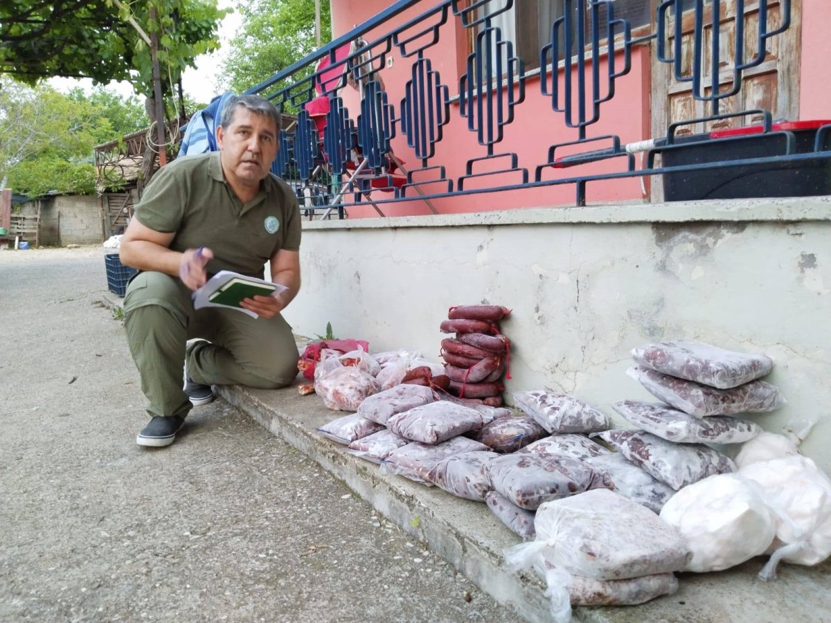 yasa disi avlanan hayvan buzdolabindan cikti 0 3jcJ3nAb