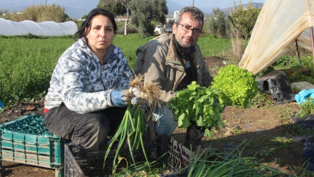 yilin 12 ayi salatalik urun yetistirerek ekmeklerini kazaniyorlar DkfyLEJx