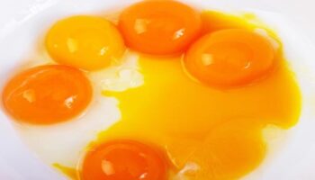 yumurtanin rengi kalitesini gosterebilir mi saglikli yumurta secmenin sirlari NfdsOYdp