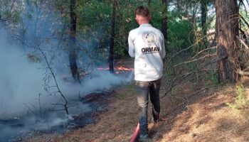 amasyada orman yangini t6rU6UHY