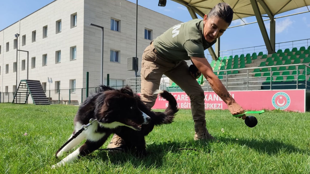 bakanligin dedektor kopekleriyle 1 ayda 41 ton uyusturucu ele gecirildi 1 OqMAR98K