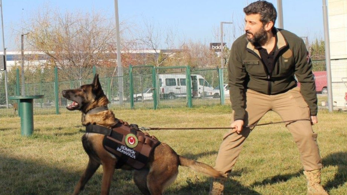 bakanligin dedektor kopekleriyle 1 ayda 41 ton uyusturucu ele gecirildi 3 p9aCLpsk