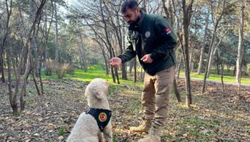 bakanligin dedektor kopekleriyle 1 ayda 41 ton uyusturucu ele gecirildi 9c9slbSm