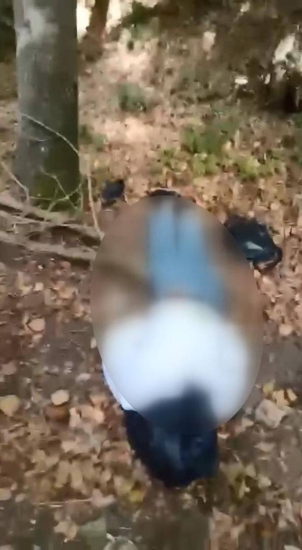 basina cop poseti gecirilmisti cesedin yanindaki not tuyler urpertti 10 zqYJTCDa