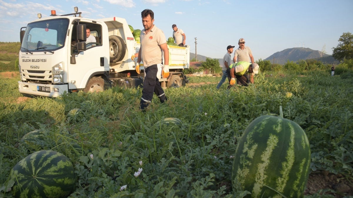 bilecik belediyesi vatandaslara 50 ton karpuz dagitti 1 YyFyNKA8