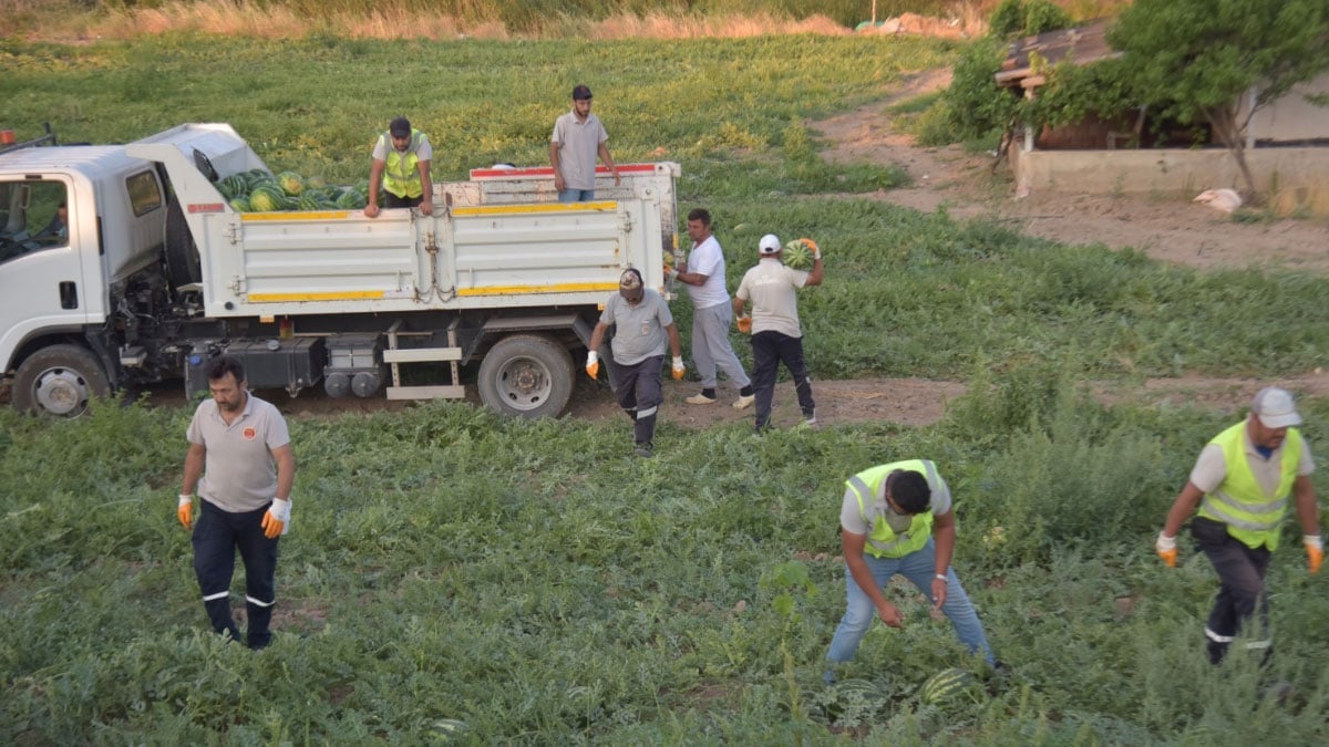 bilecik belediyesi vatandaslara 50 ton karpuz dagitti 3 UtqBe2pO