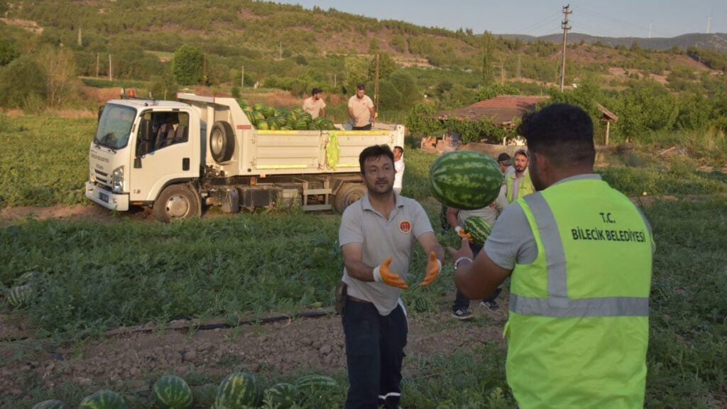 bilecik belediyesi vatandaslara 50 ton karpuz dagitti Dq4ClNAF