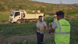bilecik belediyesi vatandaslara 50 ton karpuz dagitti Dq4ClNAF
