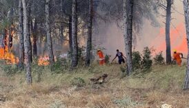 bulent ersoy dehseti yasadi orman yangini villasina sicradi OEtYSiJS