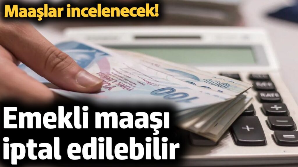 bunu yapanin emekli maasi iptal edilebilir maaslar incelenecek bWLAYaxa