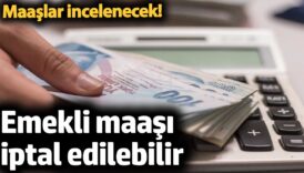 bunu yapanin emekli maasi iptal edilebilir maaslar incelenecek bWLAYaxa