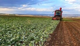 bursada ciftciye mujde yuzde 100 hibeli mazot destegi saglanacak NrxpGOFz